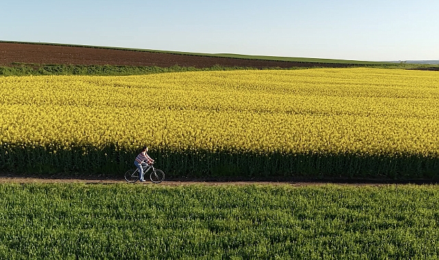 Edirne’de Sarı Bahar