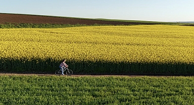 Edirne’de Sarı Bahar