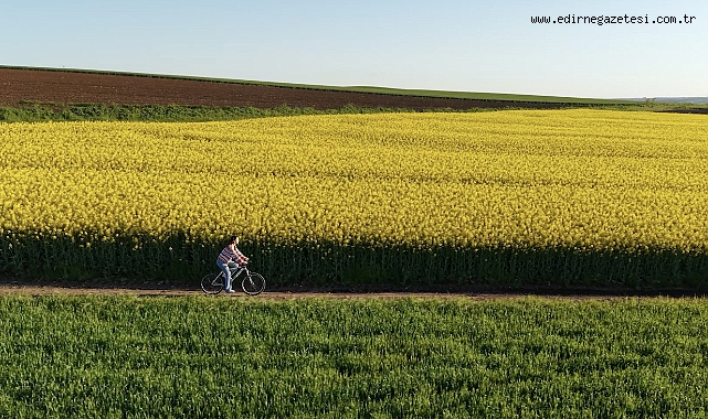 Edirne’de Sarı Bahar
