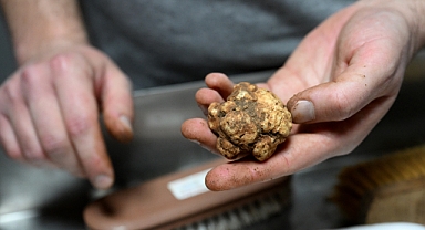 Edirne’den Dünyaya Trüf İhracatı