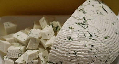 En Güzel Keçi Peynirini Seçtiler