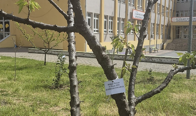 İlhami Ertem Anadolu Lisesi öğrencilerinden anlamlı etkinlik