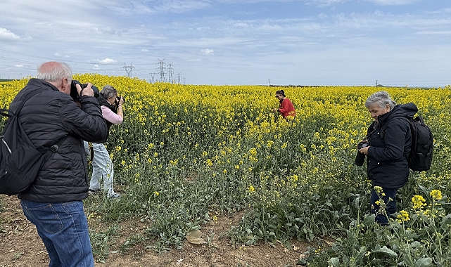  Kanola tarlasına foto safari düzenlendi