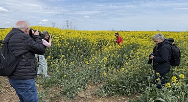  Kanola tarlasına foto safari düzenlendi