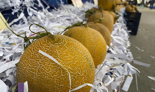 KARPUZ VE KAVUN TEZGAHLARDA