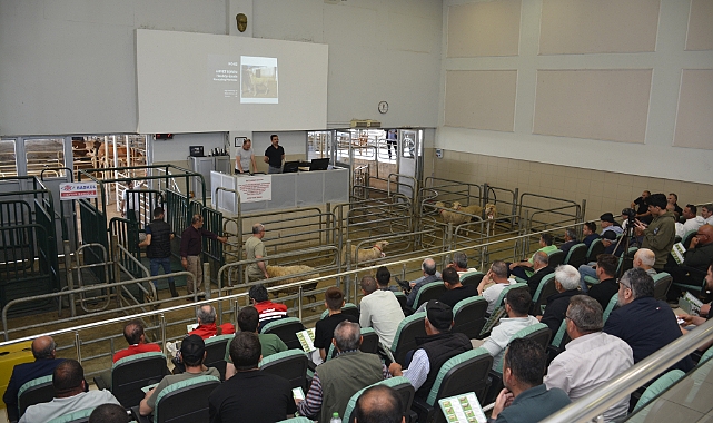 Koç ve Teke Mezatı 22 Nisan'da düzenlenecek