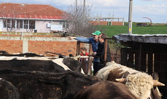 Köse, İpsala'da İncelemelerde Bulundu 
