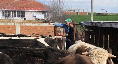 Köse, İpsala'da İncelemelerde Bulundu 