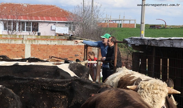 Köse, İpsala'da İncelemelerde Bulundu 