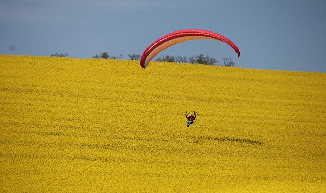 Paramotorla kanola tarlası üzerinde uçuş yapıldı