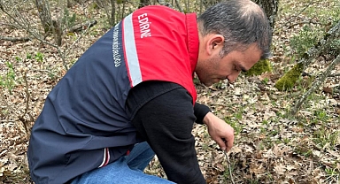 Süne ile Mücadelede İlk Adım: