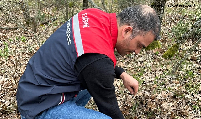 Süne ile Mücadelede İlk Adım: