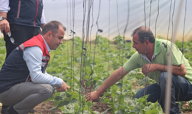 Tarımda Destekler Sahaya Yansıyor