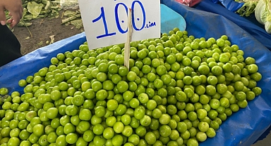 Tezgahlarda Yaz Var, Cüzdanlarda Kış 