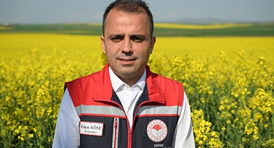 Yaz kuraklığının görüldüğü bölgelerde kanola alternatif ürün oldu