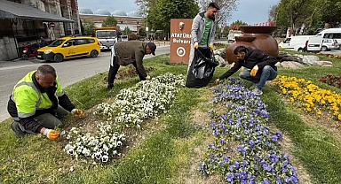 Yeşil Alanlar İçin Hummalı Çalışma