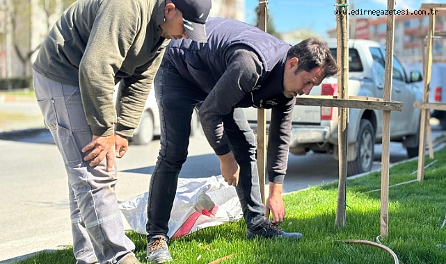 Yeşil Alanlara Yoğun Mesai