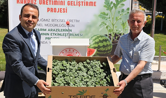 Çiftçilere 60 bin karpuz fidesi dağıtıldı
