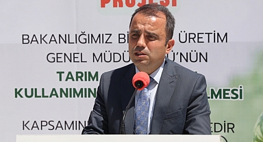 Çiftçilere 60 bin karpuz fidesi dağıtıldı