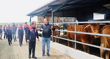 Hayvancılıkta Verimlilik İçin Sahada İnceleme