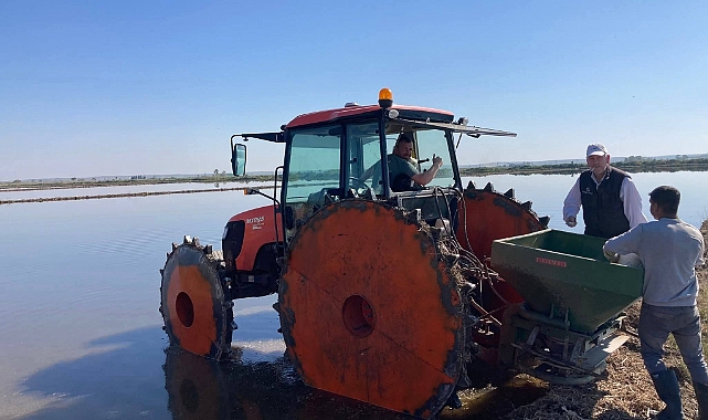 İpsala Ovası’nda Çeltik Ekim Dönemi Başladı