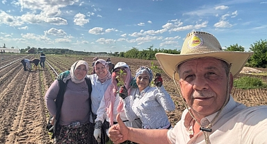 Karaağaç Acı Biberi’nde Ekim Mesaisi Başladı
