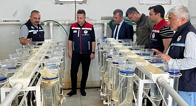 Su Ürünleri Üretimine Yakın Takip
