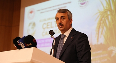 Uluslararası çeltik çalıştayı başladı