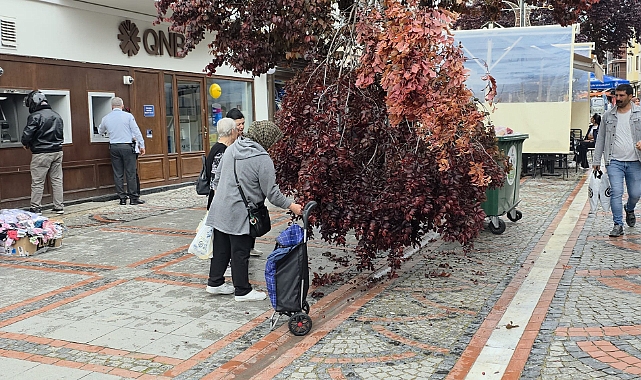 Yağmur Yağdı, Ağaç Kırıldı