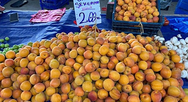 Yaz Meyveleri Cep Yakıyor
