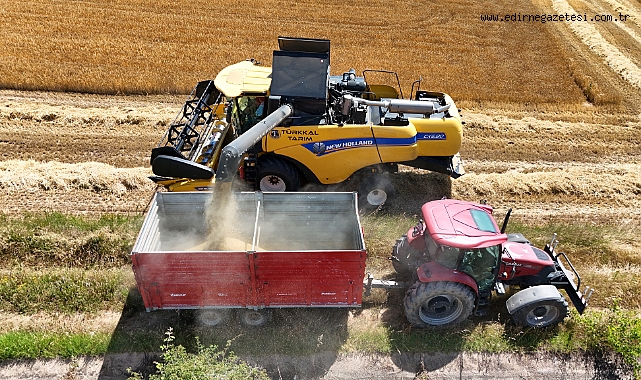 Arpa hasadı mesaisi sürüyor