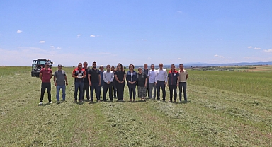 Budak Doğanca Köyü Merasında Ot Biçim Etkinliği Düzenlendi
