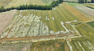 Buğdayda Çifte Darbe