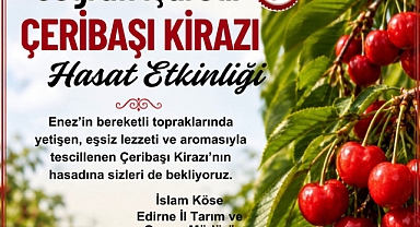 Çeribaşı Kirazı Üreticileri Hasatta Buluşuyor