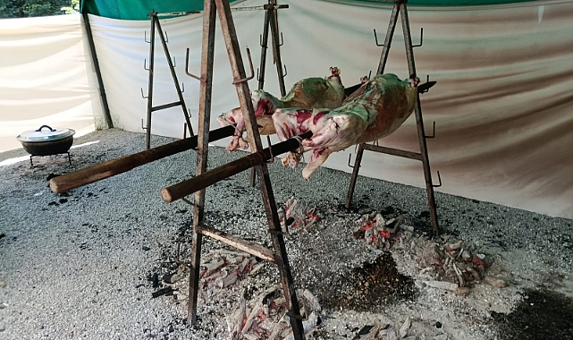 Fiyatı 4 Bin TL’ye Dayandı, İlgi Azaldı