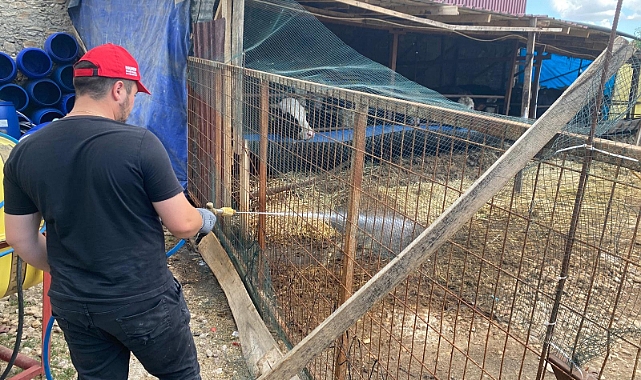 Kene ve Sineklere Karşı Etkin Mücadele Sürüyor