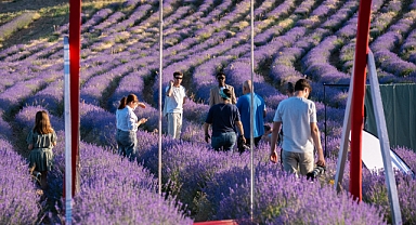Lavanta tarlaları fotoğraf tutkunlarını ağırlıyor