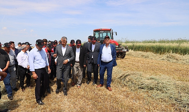Meralar üreticiye destek amaçlı ıslah ediliyor