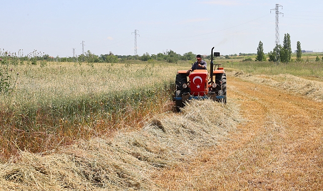 Meralar üreticiye destek amaçlı ıslah ediliyor