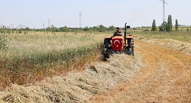 Meralar üreticiye destek amaçlı ıslah ediliyor