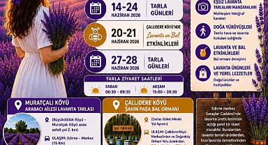 Mor Günler Başlıyor