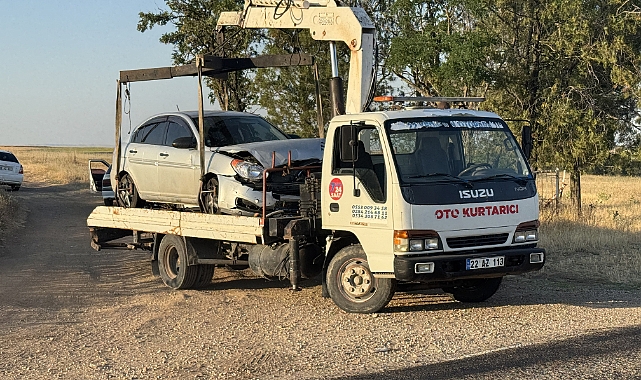 Otomobilin çarptığı 6 koyun telef oldu