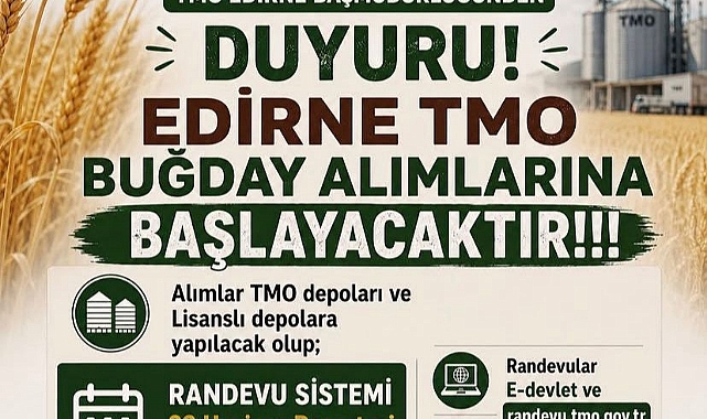 TMO BUĞDAY ALIMLARINA BAŞLIYOR
