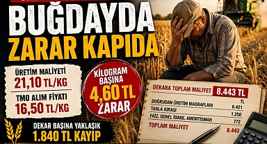 Üretici Hesapladı: Buğdayda Zarar Kapıda