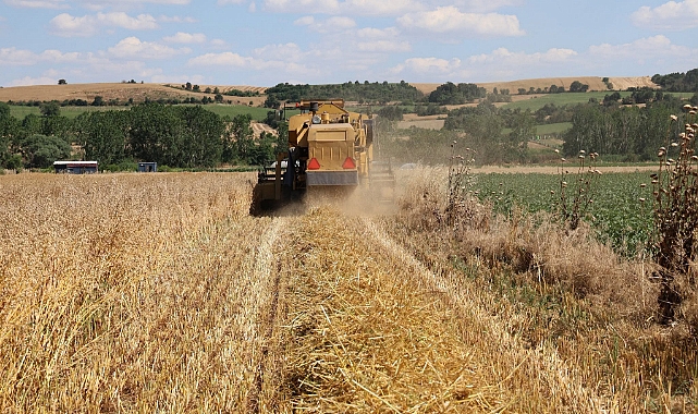 Yulaf çeşitlerinin hasadı yapıldı
