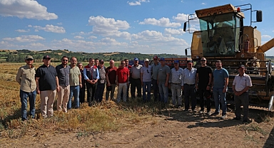 Yulaf çeşitlerinin hasadı yapıldı