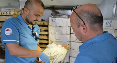Balıkçı Tekneleri Denetlendi
