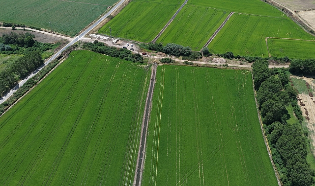 Çeltik üretim alanı 500 bin dekara ulaştı
