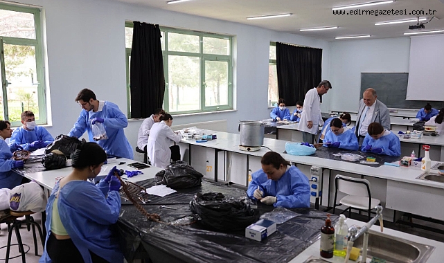 Doğa Tarihi Müzesi'ne bilimsel katkı