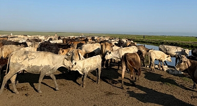 Gala'nın Yükselen Suları Göçü Başlattı